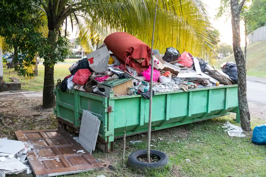 How Trash Hauling Services Simplify Home And Office Cleanups in Dade City, FL